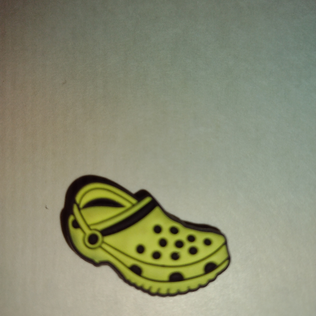 Crocs Charm.